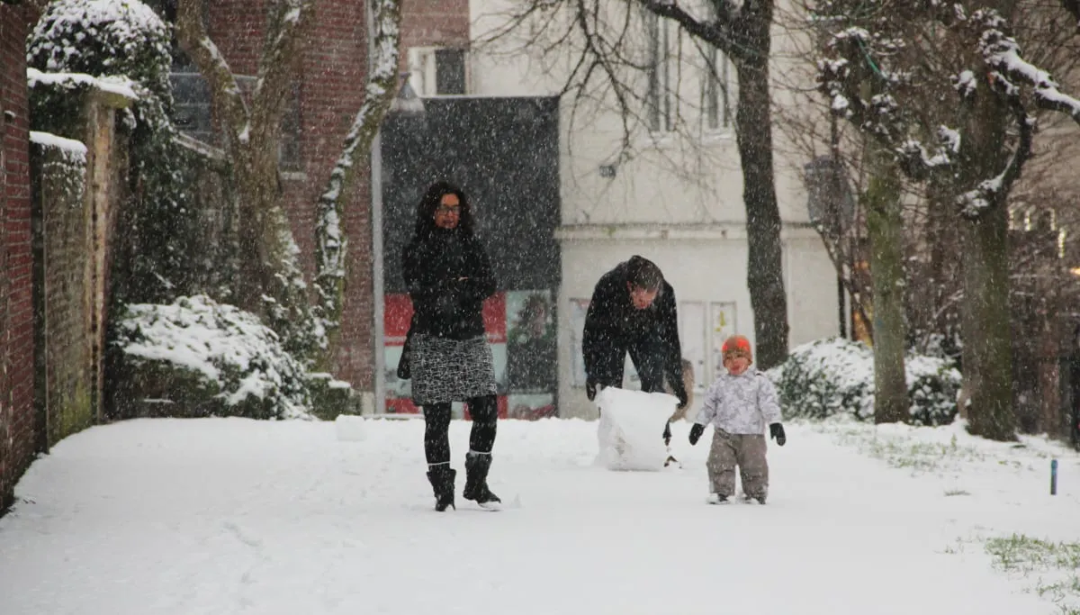 winter 2015 sneeuw bal wal