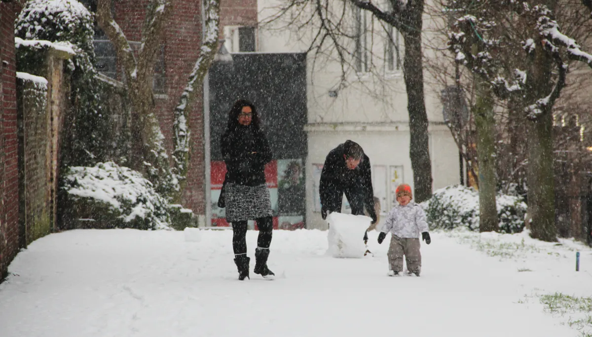 winter 2015 sneeuw bal wal