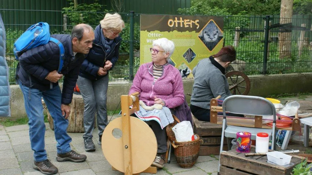 wol spinnen geertje 2016
