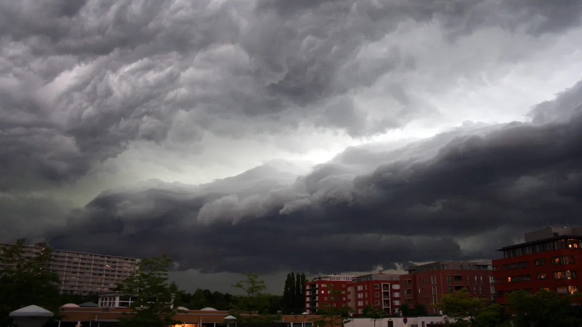 wsajgol7m3u6mp0wjsy0jyqrr onweer pinksteren 2014 tom bloem