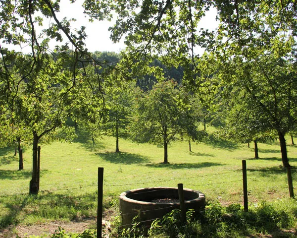 wvmx9xi9jtmv7tiptijzq0zhe 219744