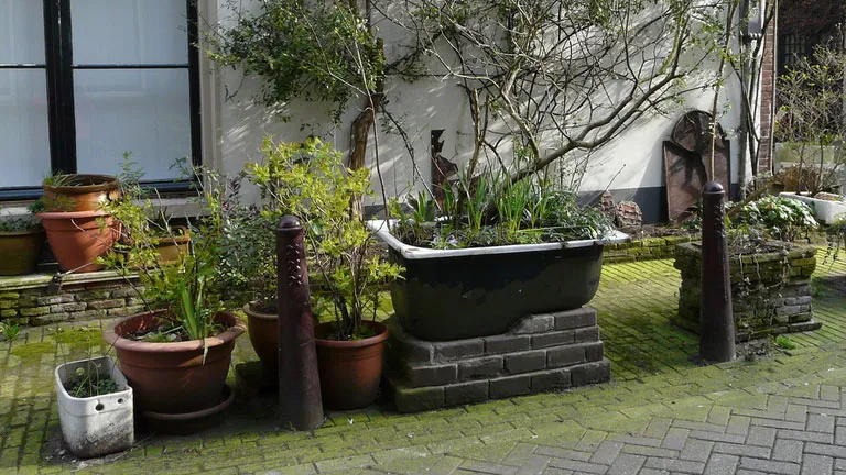 wvpqa22t8xn7hsvg5uvev8p2b voortuintje in amsterdam