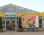 wy5xwss58iwso7ybk03hpxncf 182833