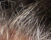 xv9okgbk56mvhhijmvntrwtky 198067