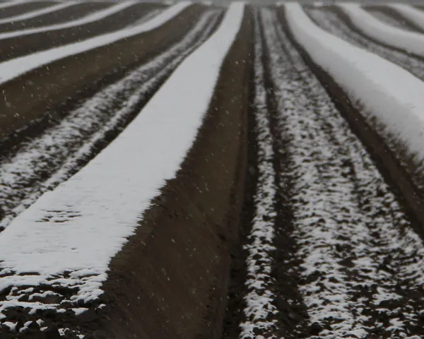 xxec39pqb6vv5sriutsbfdx3n 219851