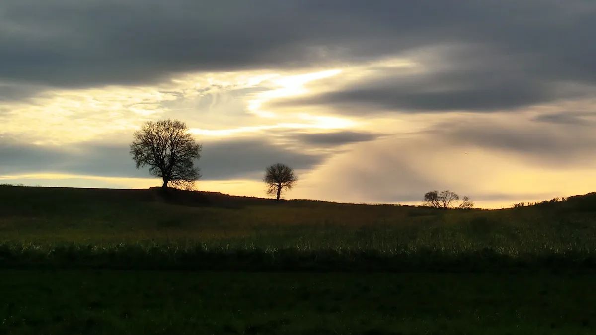 xzghzla2jv3r6hblykzgomsy4 kollenberg tuinenwandeling