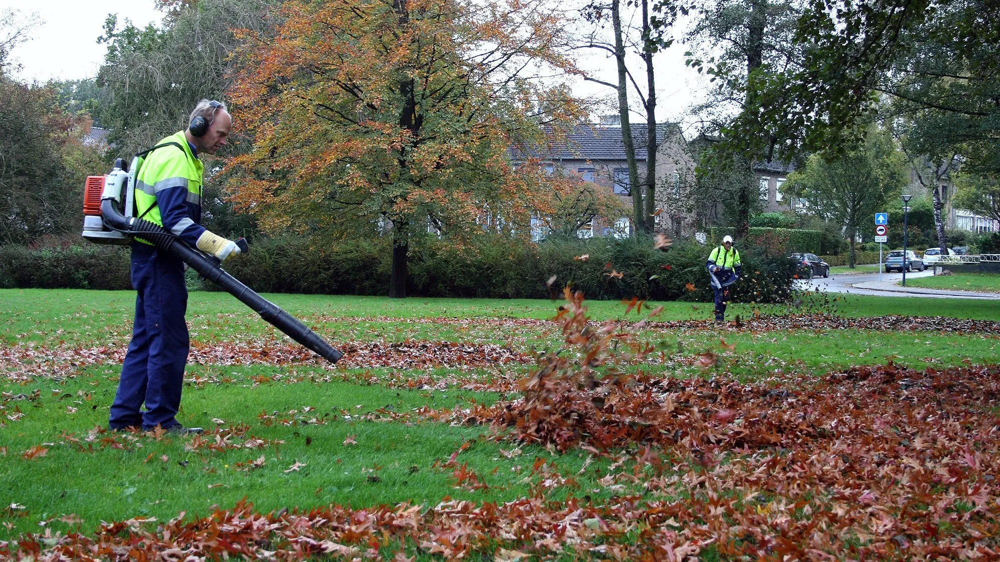 y5bl5195qiuswvzna4kfafk38 herfst blad blazers 22 oktober 2014 tom bloem