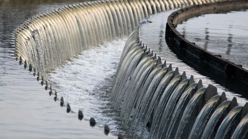 yajhhjdsed8op66o5cpfos6de waterzuivering 16 9