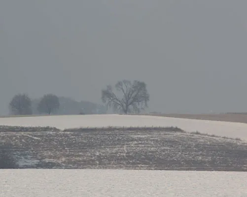 yc1a6w6w0x5ussw22sweewu3d 221780