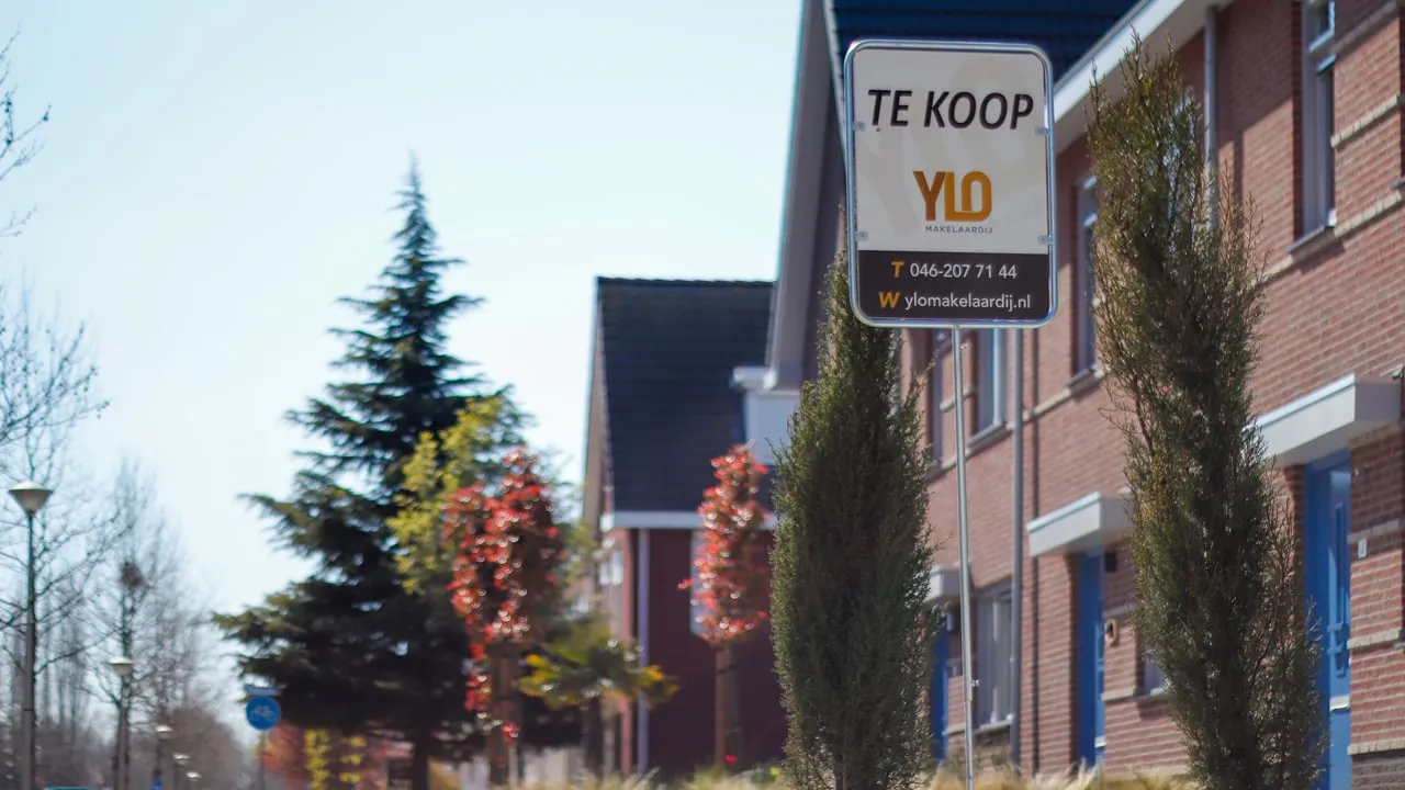 ylo makelaardij 06