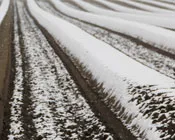 z17q3nwu9alai1fn5ywhfghnd 220398