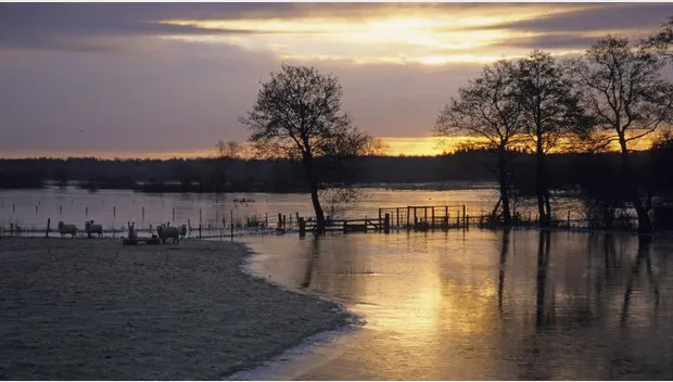 z3brkjkj5802a20v0w39iw2b1 nachtvorst