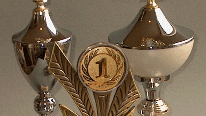 z6jni75sdmd4c5oka8qed4139 sportprijzen bekers kampioen