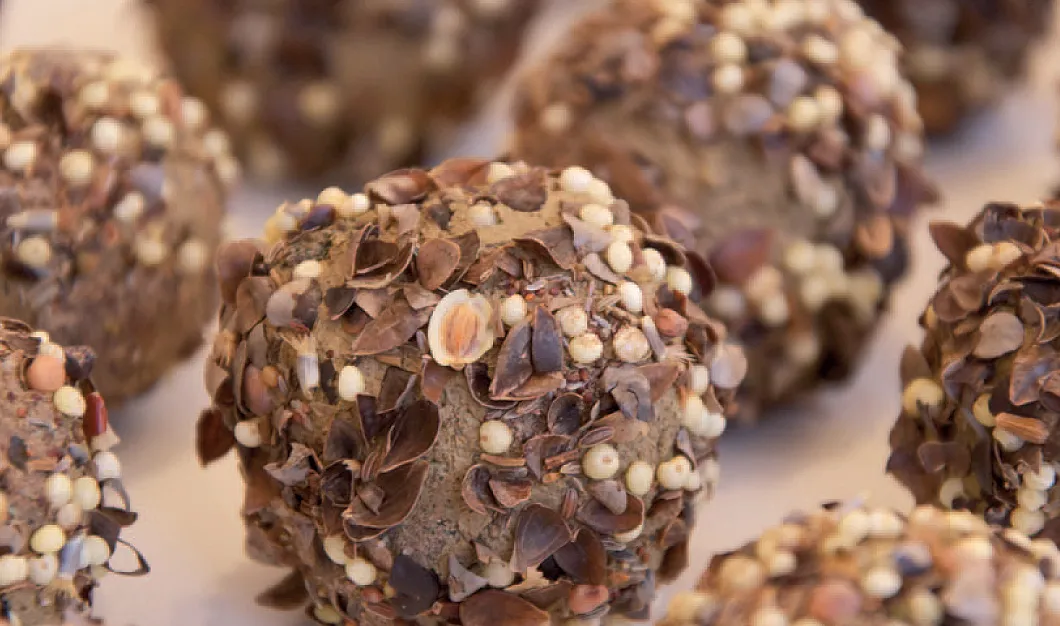 zaadbommetjesschermafbeelding 2014 08 18 om 161737