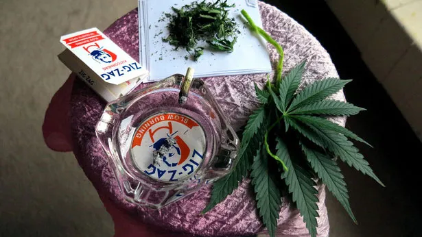 zavs49rgzfcwoqigibye3pu1c coffeeshop zig zag maastricht