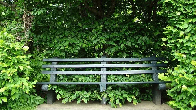 zh3kircljy2f1litvo9oq2nr4 bankje in park