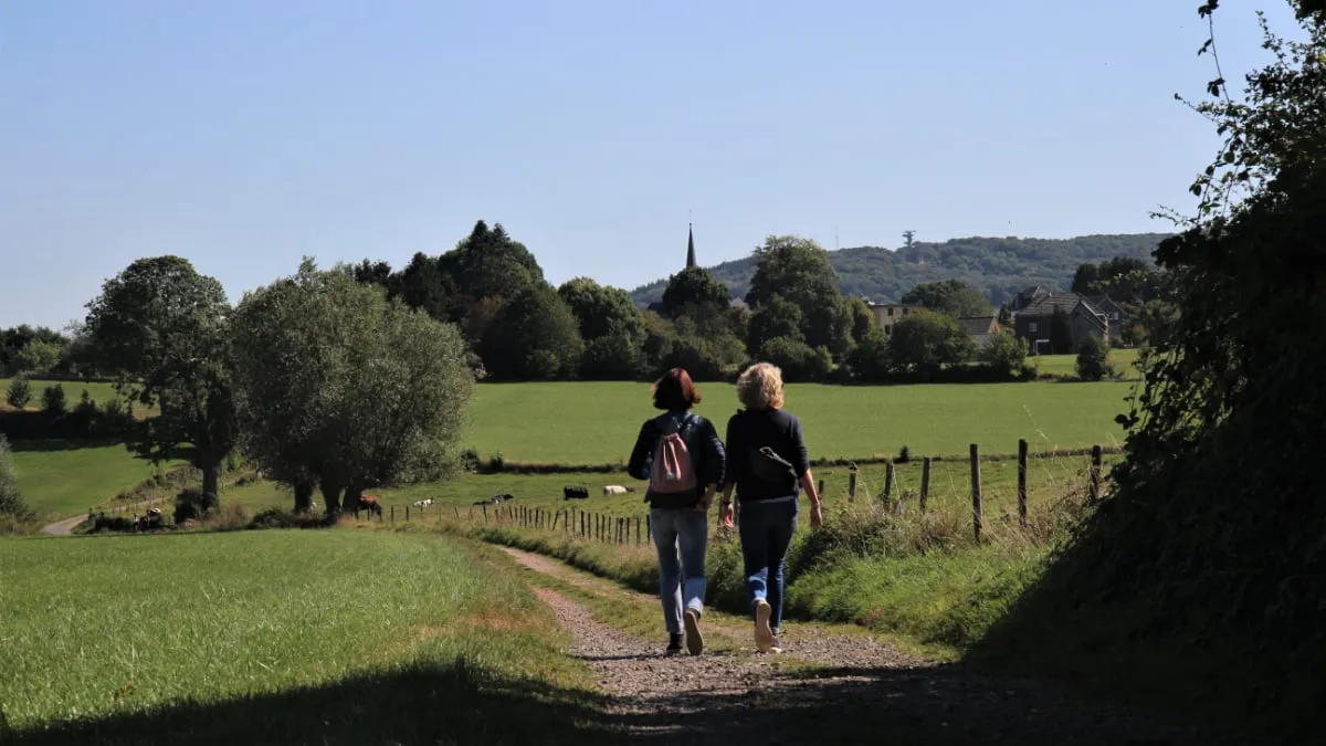 zicht op vaalser berg