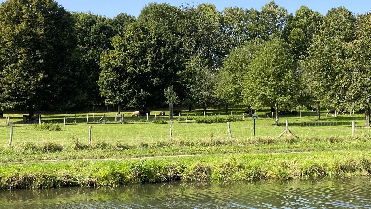 zomers nazomers beekdal sittard