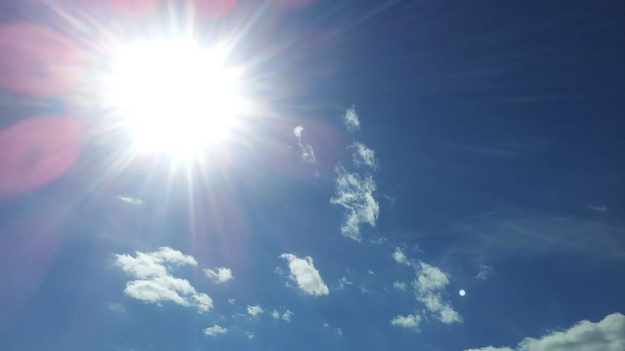 zon zonnig