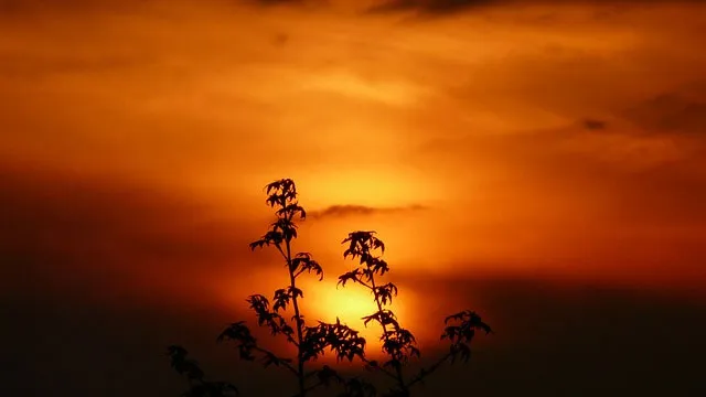 ztiyqc9lx7t8tye3jmfzw689h zonsondergang