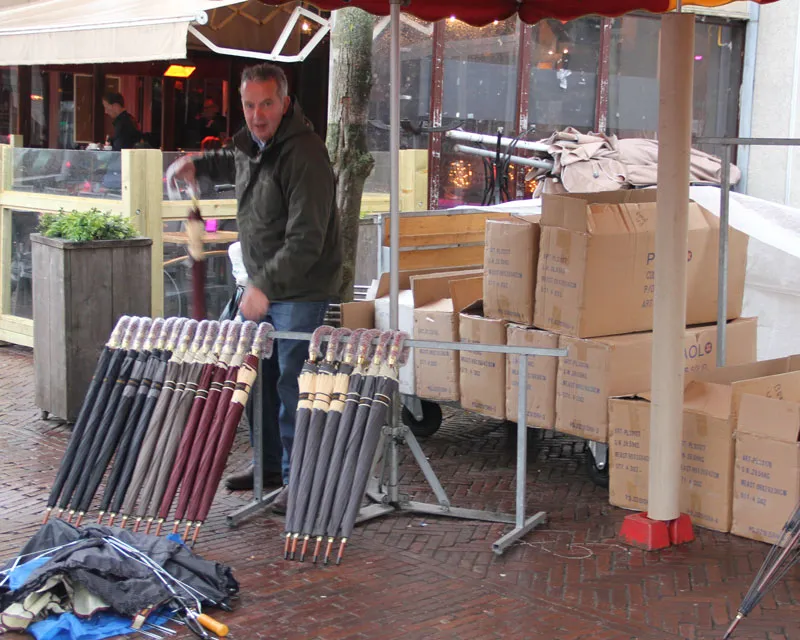 zukb8ye7drx67a6mf0coyeicy 219322