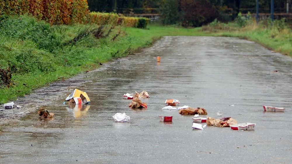 zwerfafval zwerfvuil macdonalds 2