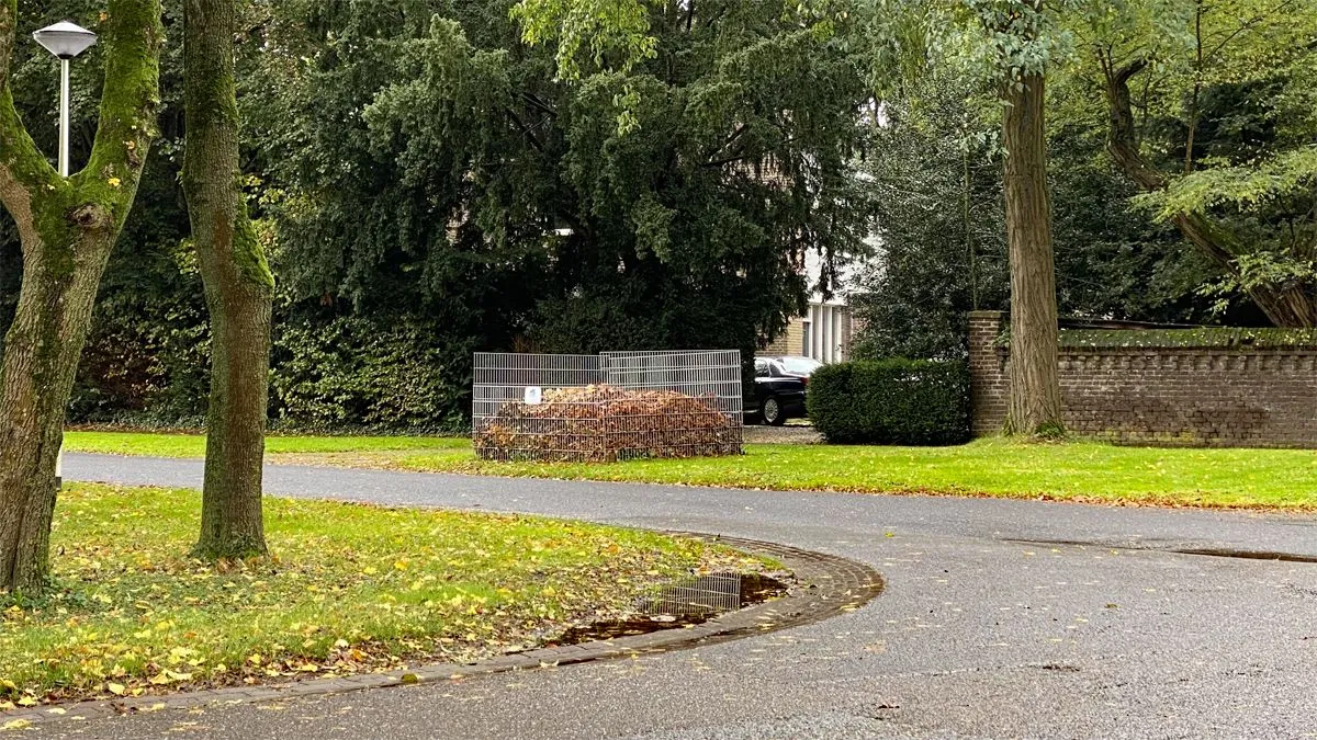 herfst 2024 bladkorf grevenbicht