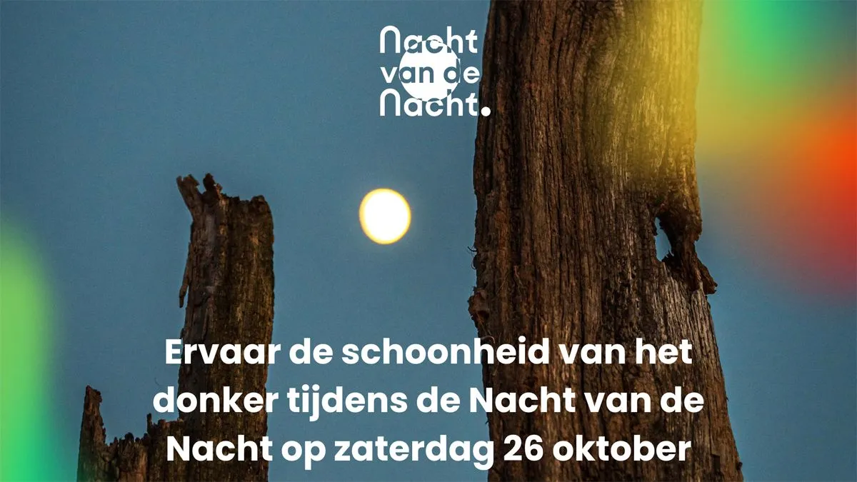 nacht van de nacht 2024