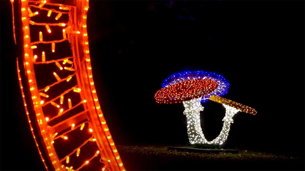 steinerbos steiner lights