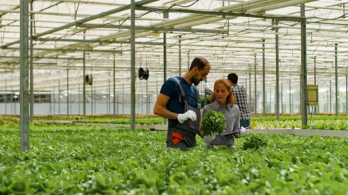 werken in een broeikas