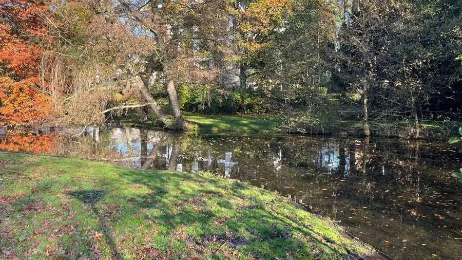slingervijver vijverweg sittard