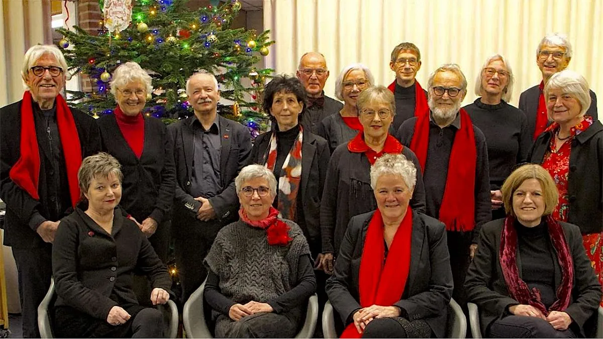 vocaal ensemble resonanz