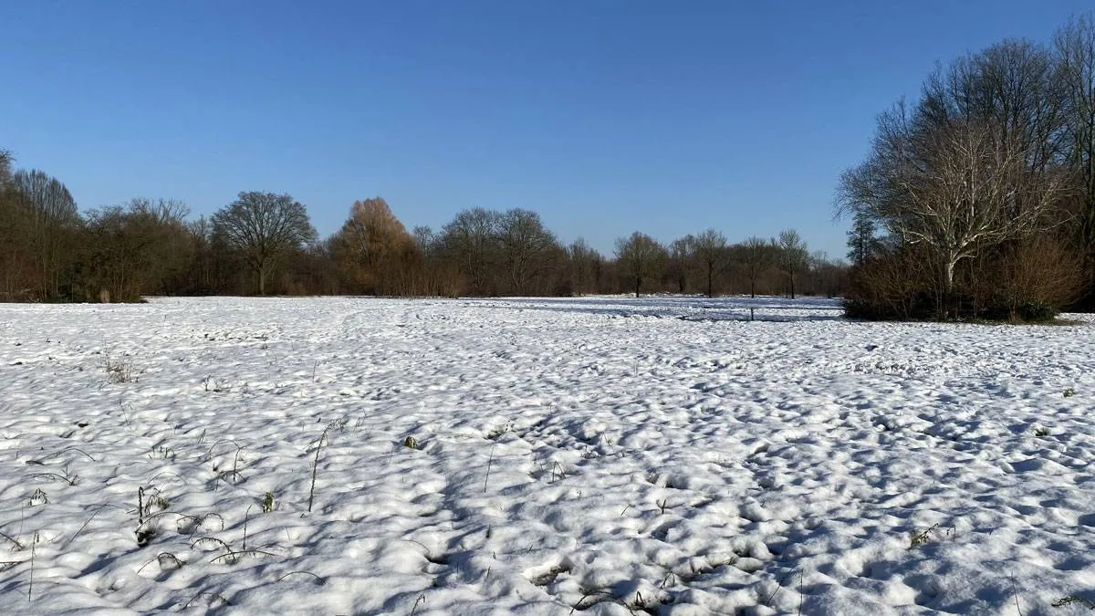 voormalige escs locatie 10 januari 2025