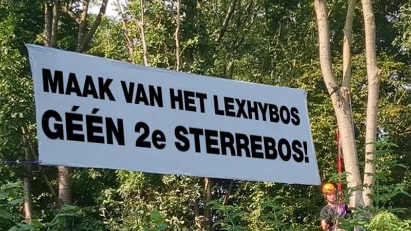 lexhybos geen tweede sterrebos