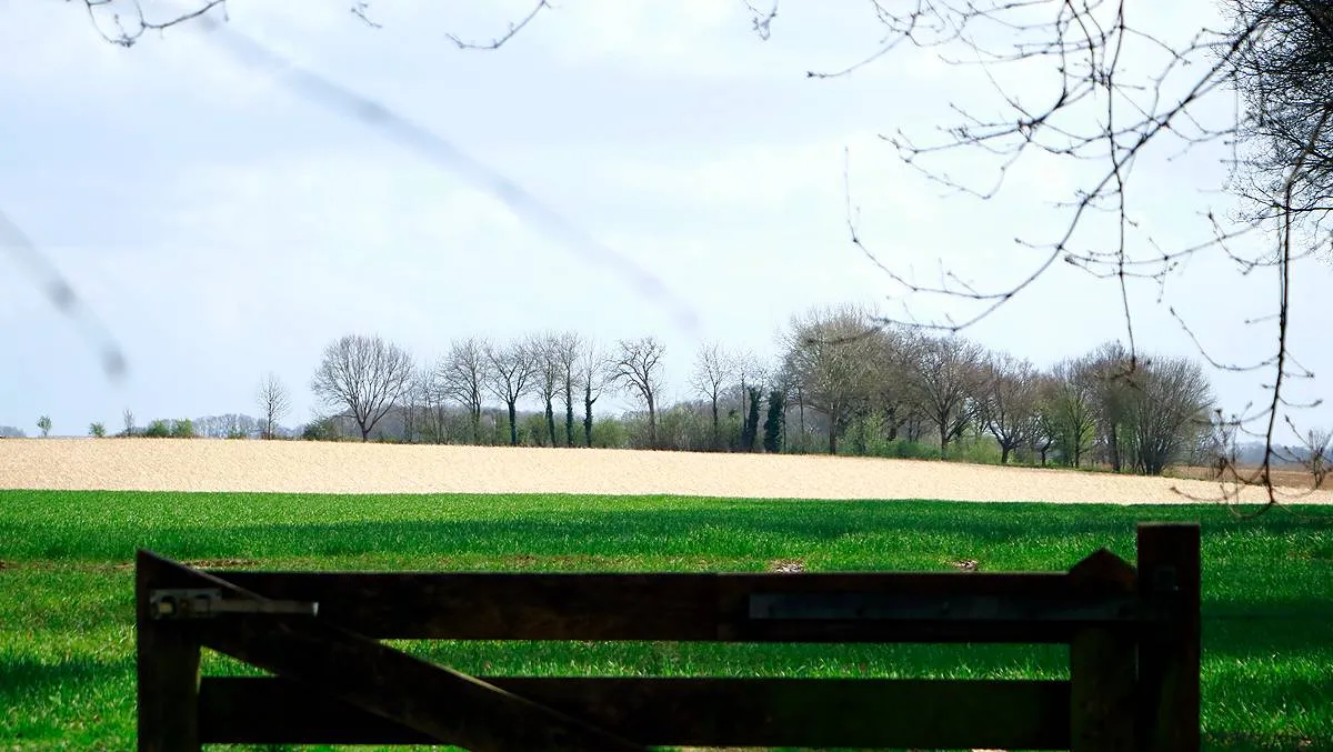 landschap kollenberg sittard mg 2097