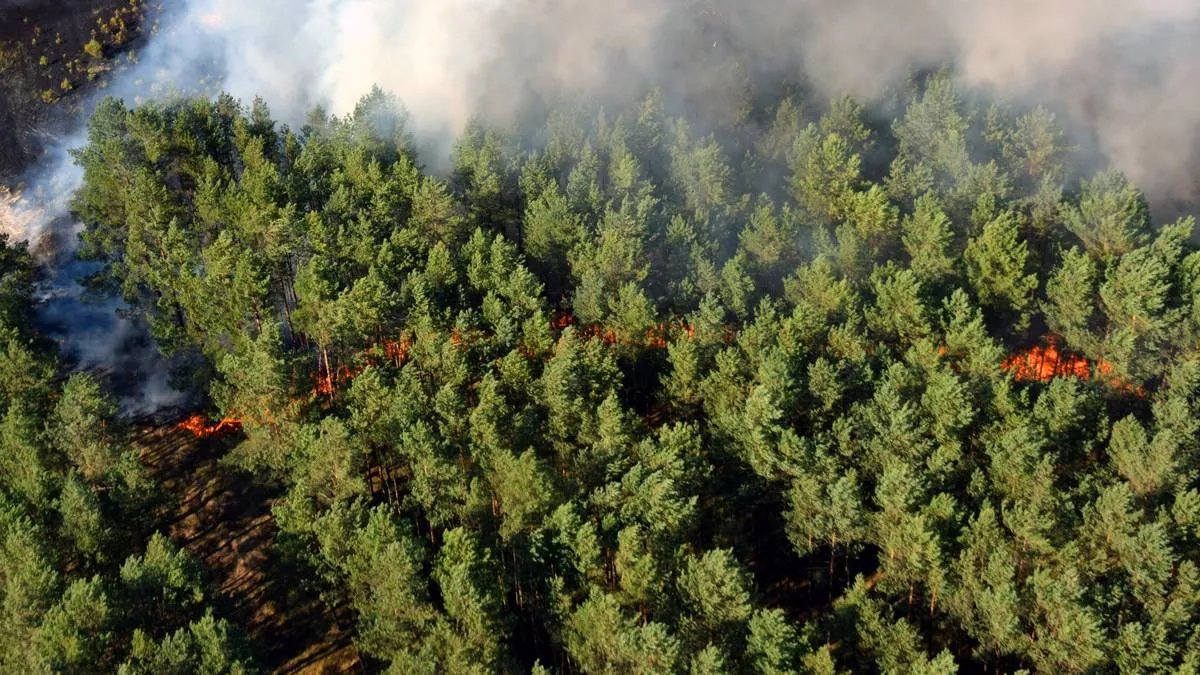 bosbrand gezien vanuit helikopter