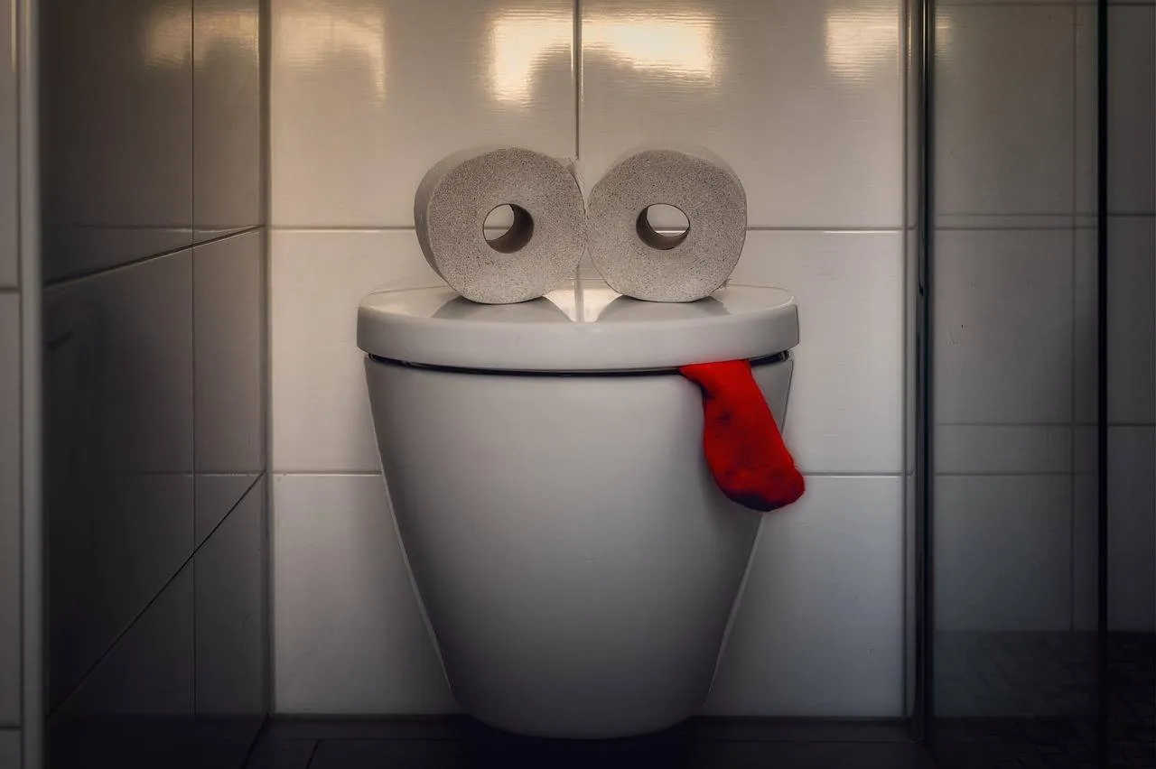 wc Tama66 Pixabay
