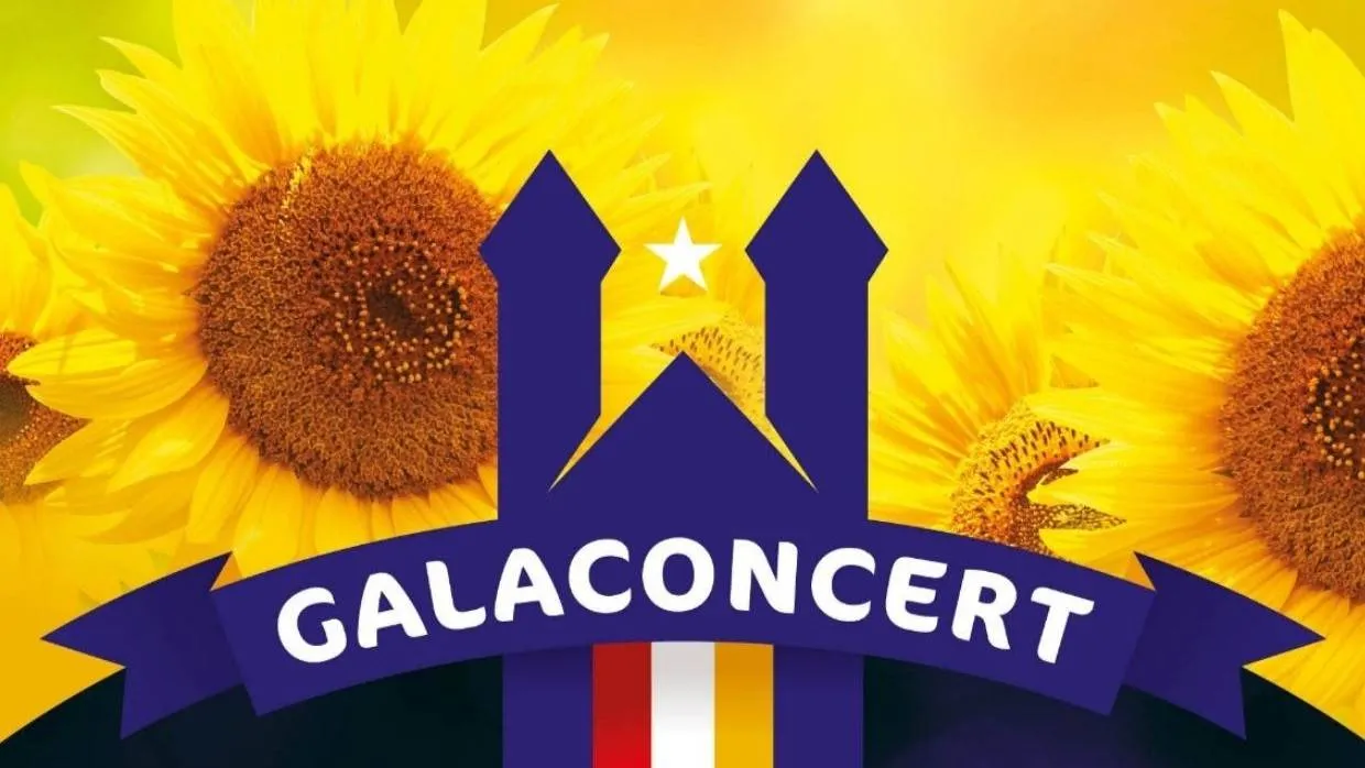 poster zonnebloem top