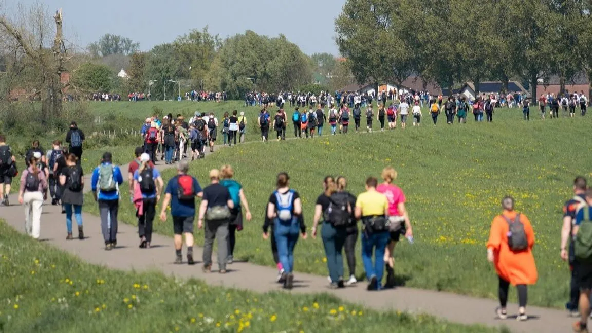wandelaars in veld - Copy