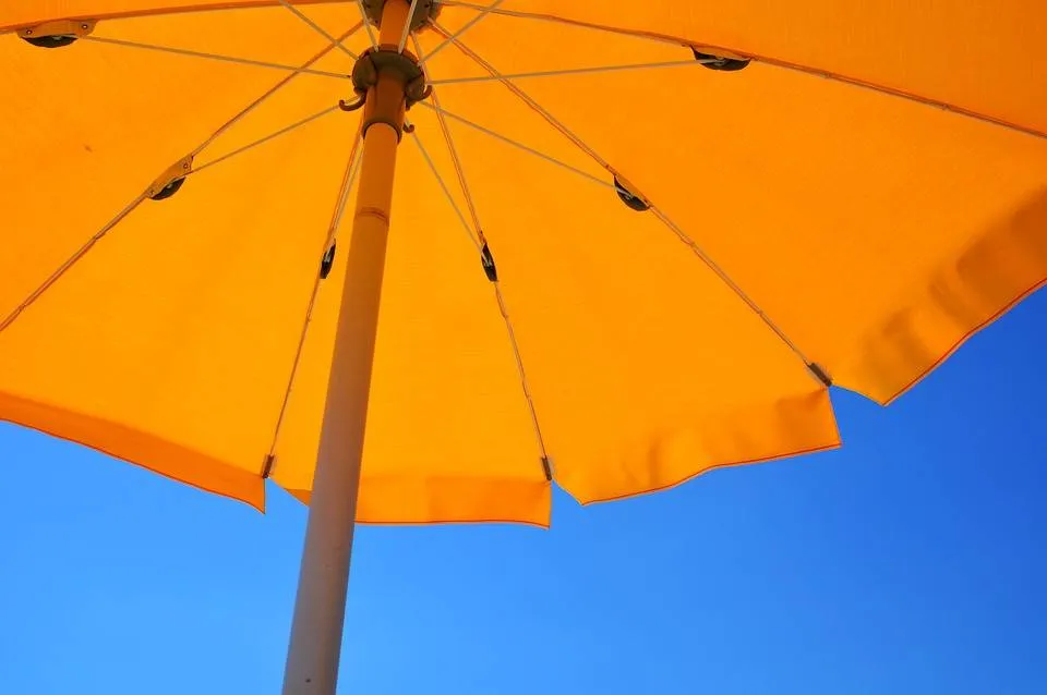 yellow-parasol adonyig, Pixabay