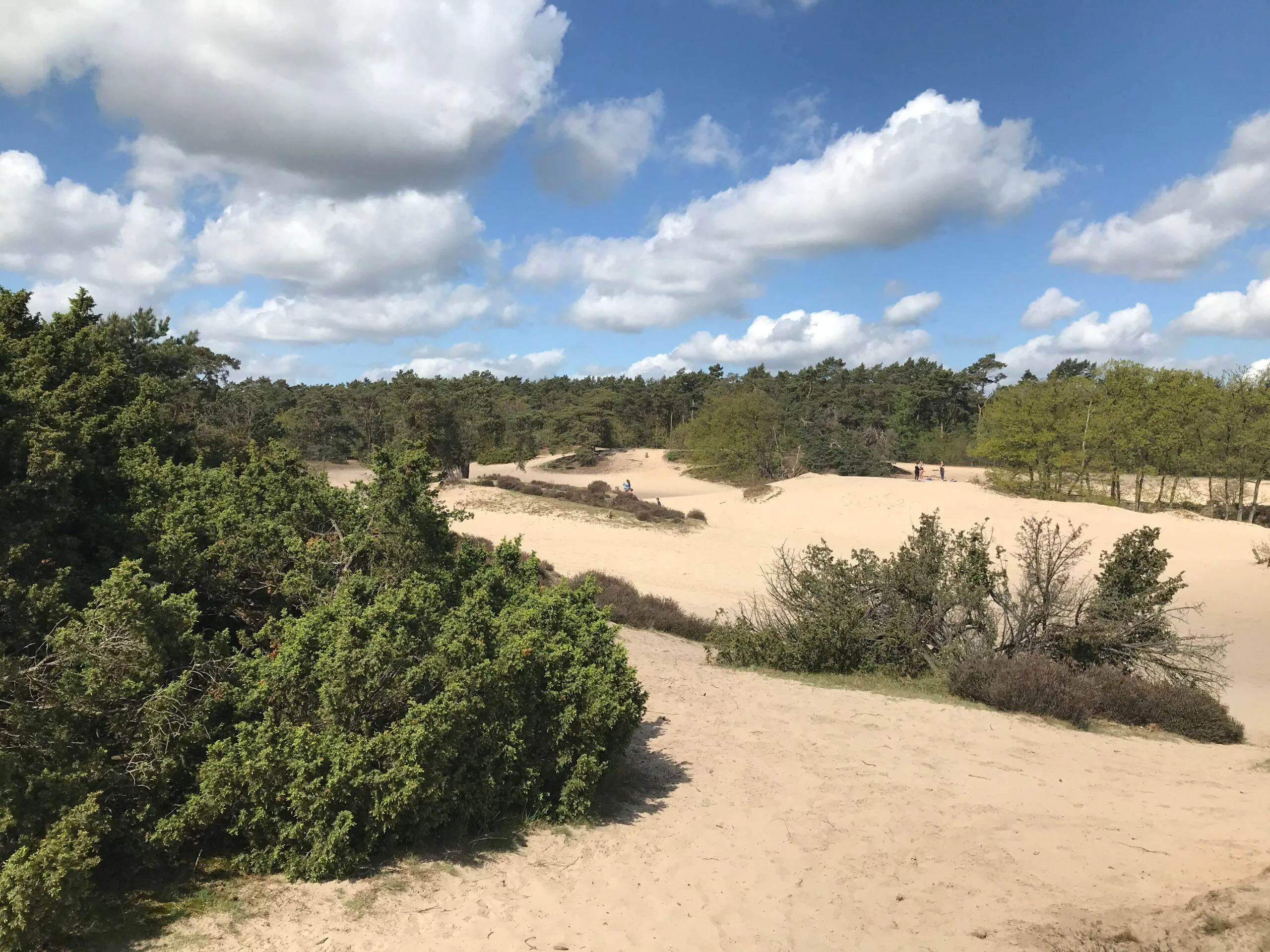 geoparkhgv soest korte duinen met zon 2 scaled