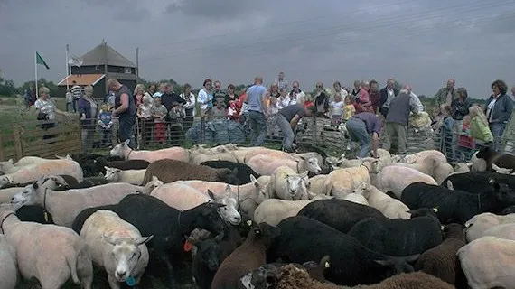 1e8781cc5f93ec149877d18e1af199561 e1432713829800