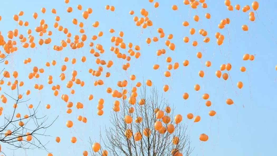 allemaal oranje ballonnen in de lucht e1429107561726