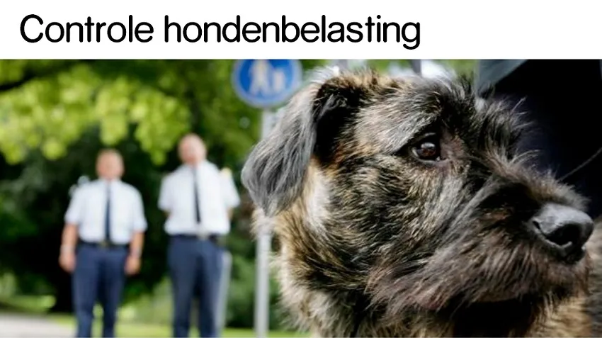 controle hondenbelasting