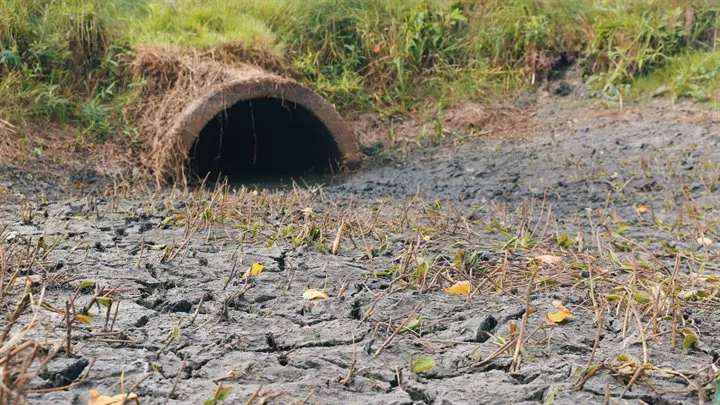 drooggevallen stuw in westerhuizingerveld 2