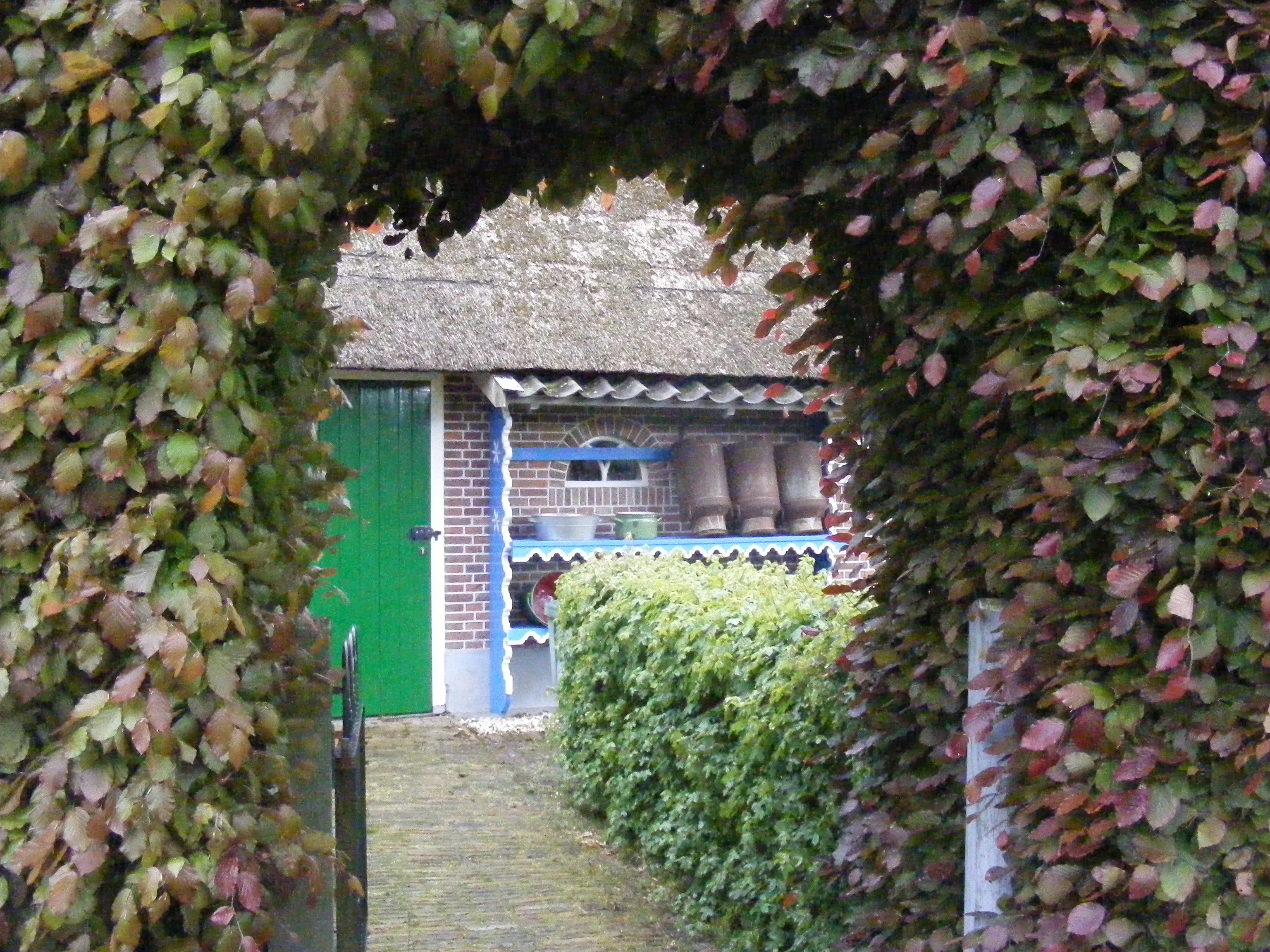 dscf1656
