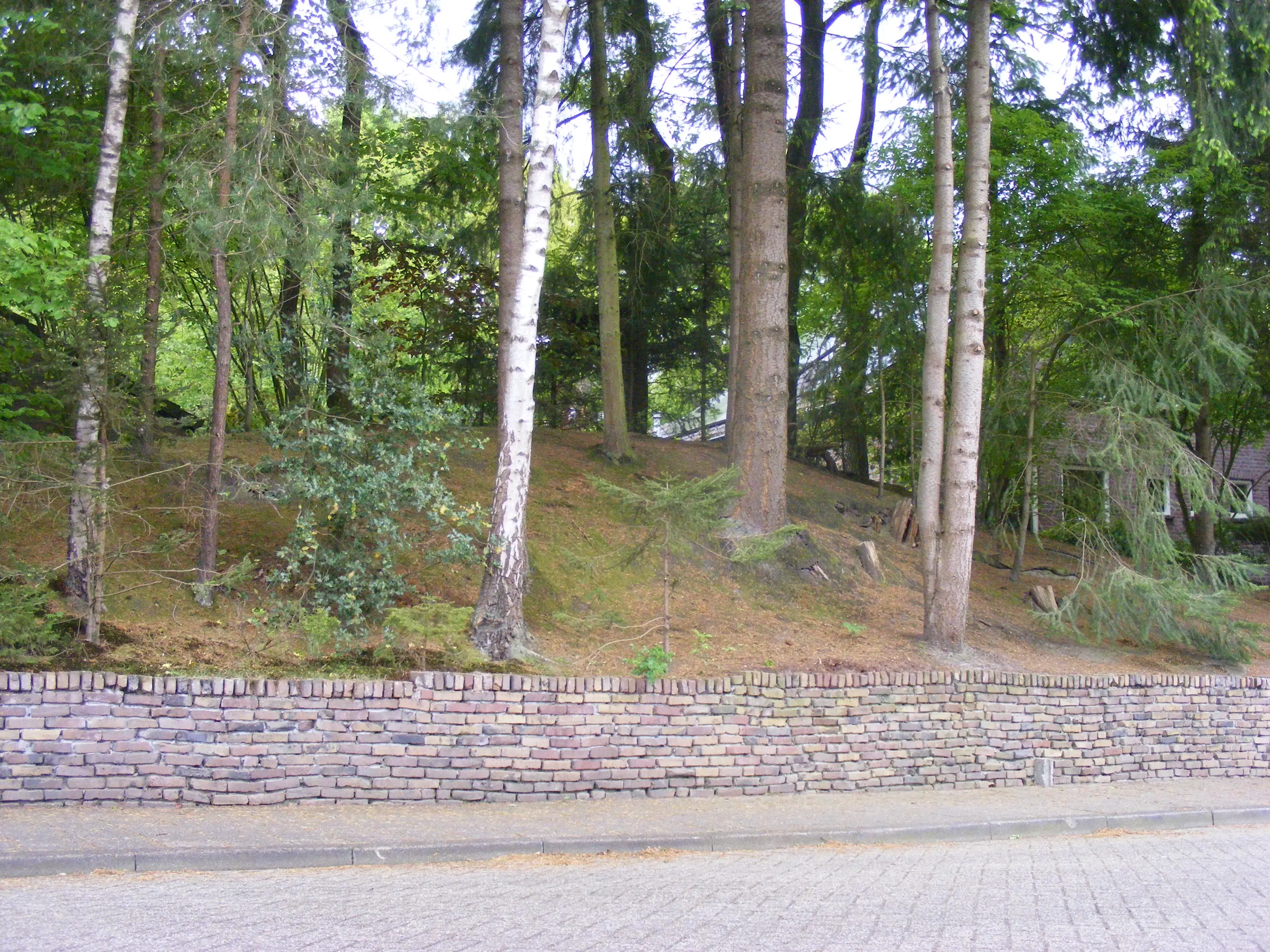dscf1684