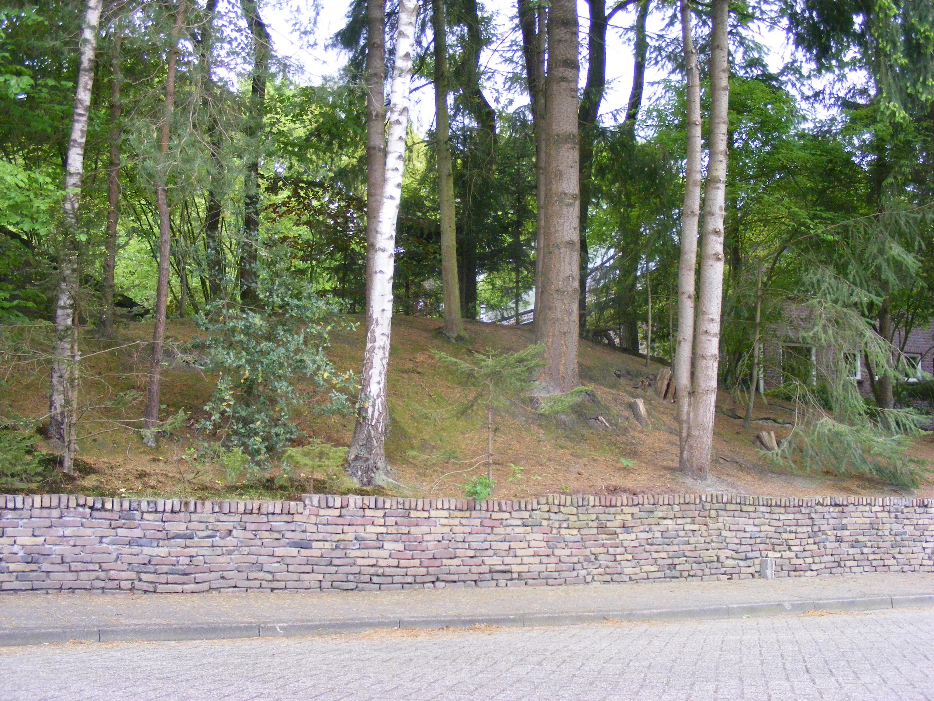 dscf1684