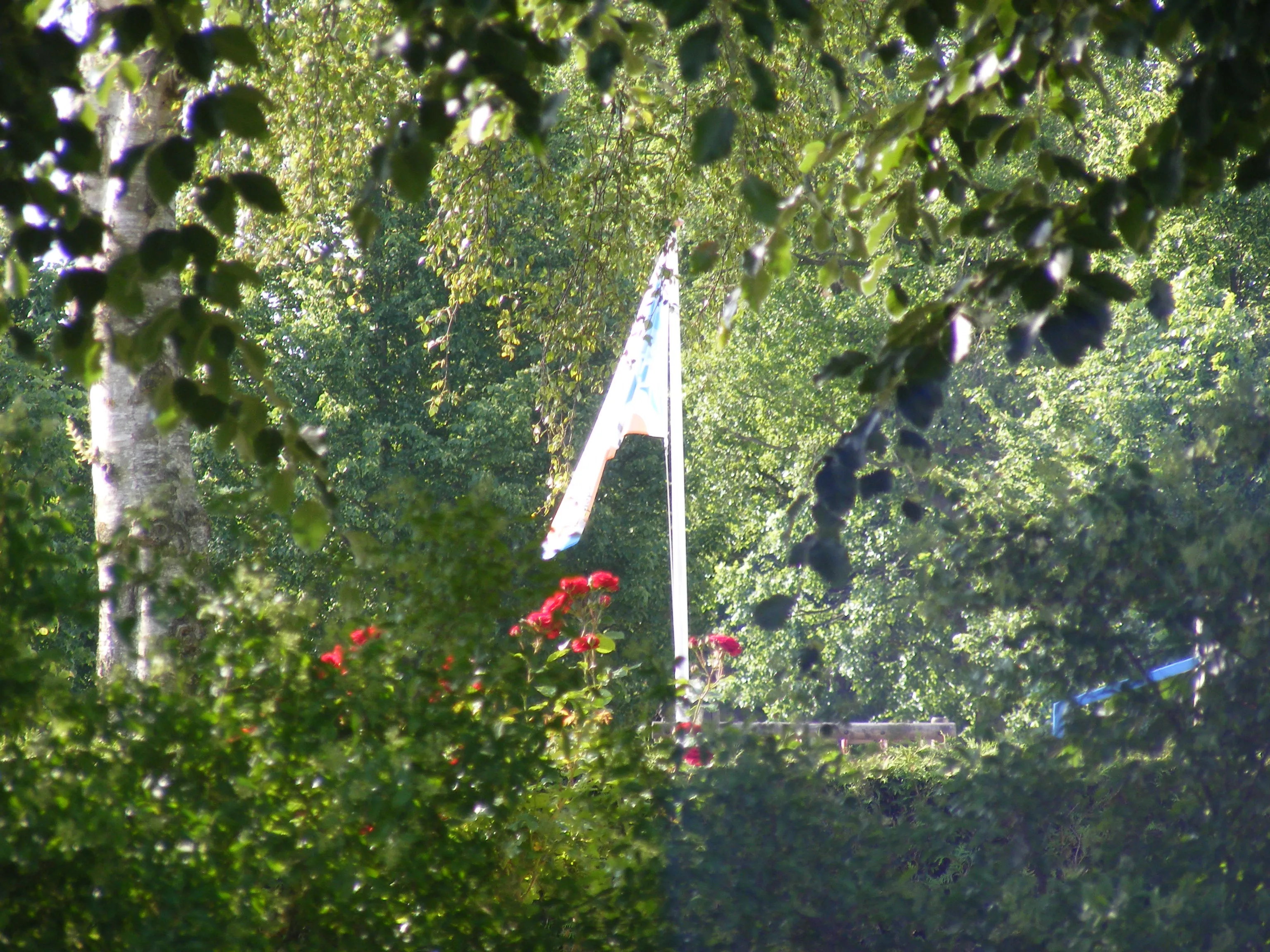 dscf2197