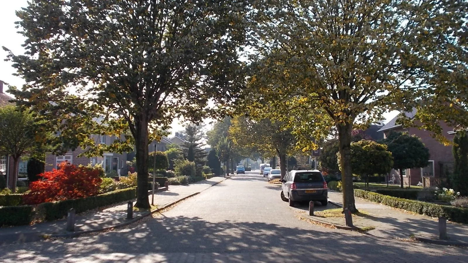 dscn0954 lindenlaan herfst e1447173522561